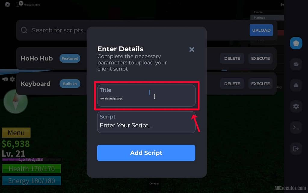 How to use Blox fruits script using executors